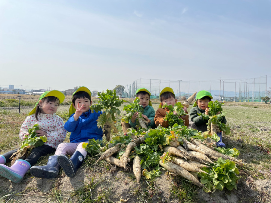 第三あおば草津保育園(管理栄養士/栄養士の求人)の写真4枚目: