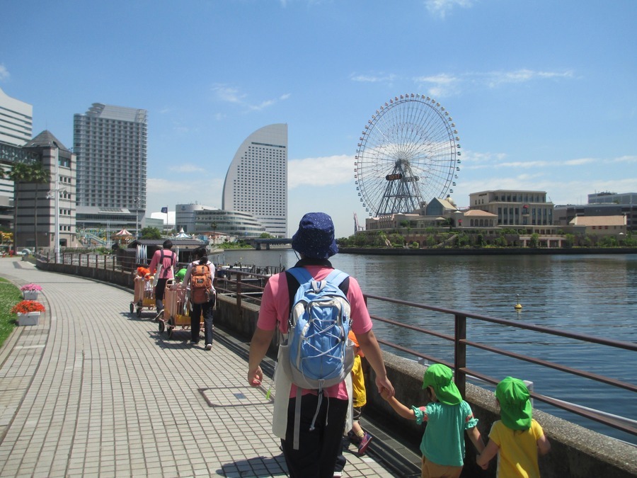 ニチイキッズ桜木町保育園の写真7枚目：お散歩コース♪お魚発見！！