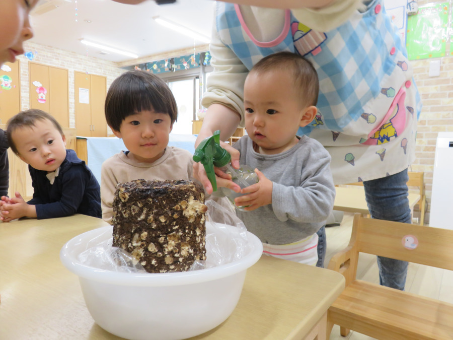 おれんじハウス反町保育園の写真2枚目：