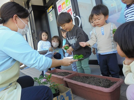 ニチイキッズとやま光陽保育園の写真3枚目：