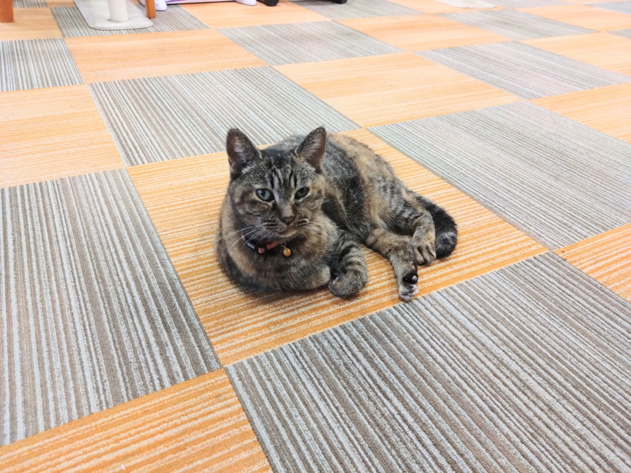 インターケアデイサービスセンターの写真3枚目：