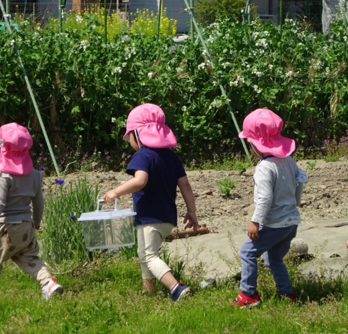 近江さくら保育園の写真3枚目: