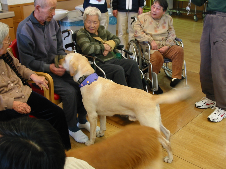 介護老人保健施設さくらの里(介護職/ヘルパーの求人)の写真4枚目:岡崎市,介護老人保健施設さくらの里,アニマルセラピー写真,看護介護求人
