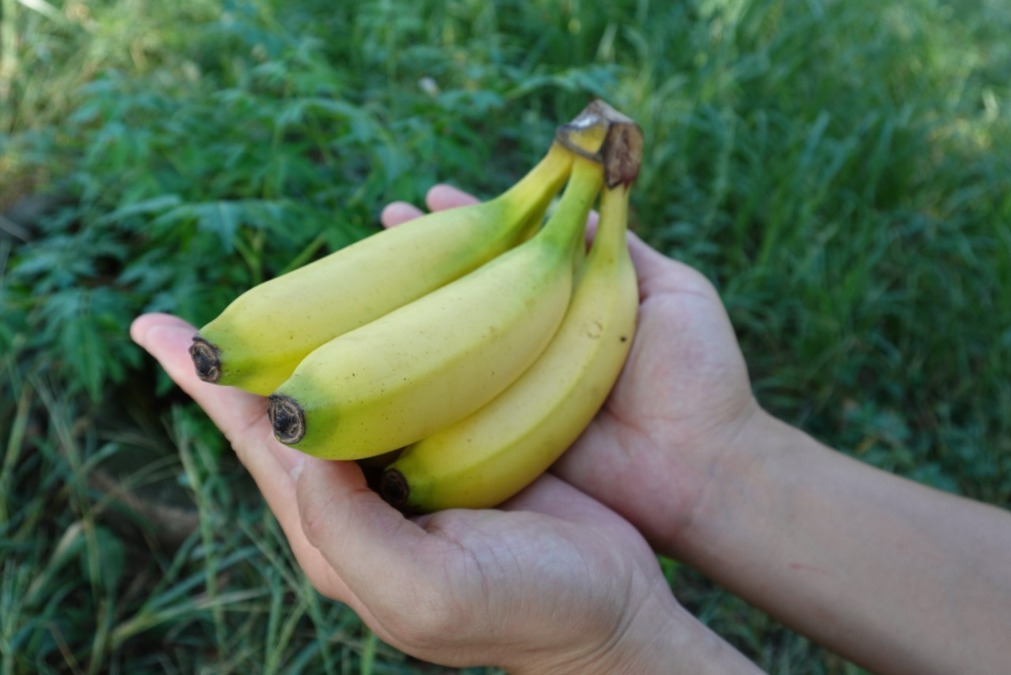 在宅看護総合ステーションカピリナ（作業療法士の求人）の写真6枚目：