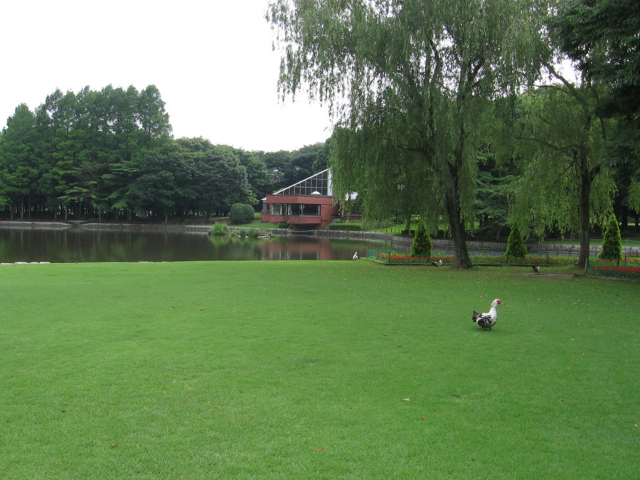 株式会社東京アスレティッククラブ つくば市洞峰公園の写真6枚目：
