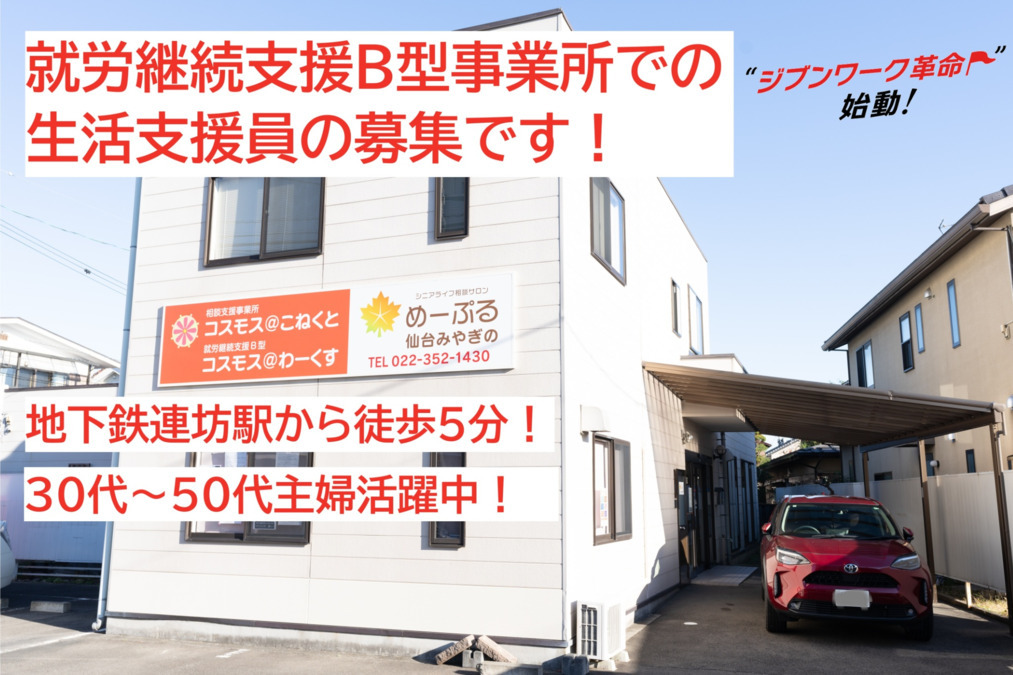 コスモス＠わーくすの写真