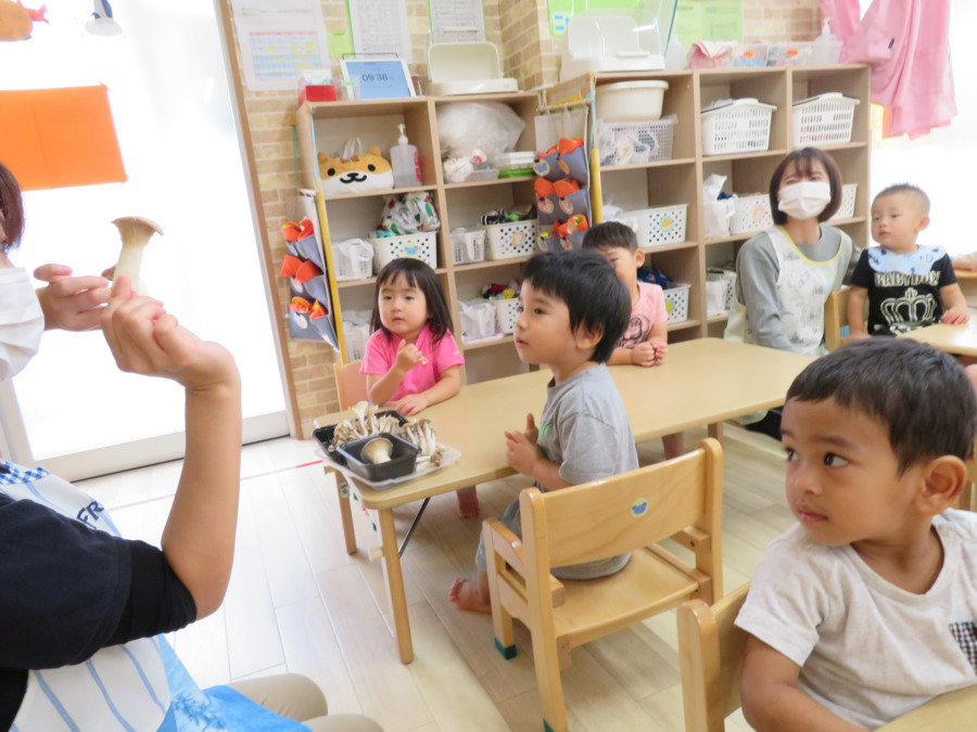 NPO法人おれんじハウス　おれんじハウス星川保育園（看護師/准看護師の求人）の写真2枚目：