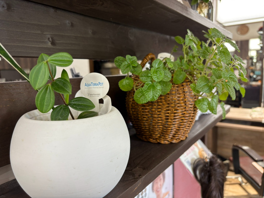 カジュアルサロン　カッツ八潮店（美容師の求人）の写真8枚目：