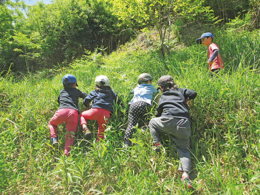 認定こども園西鈴蘭台頌栄保育園の写真5枚目：