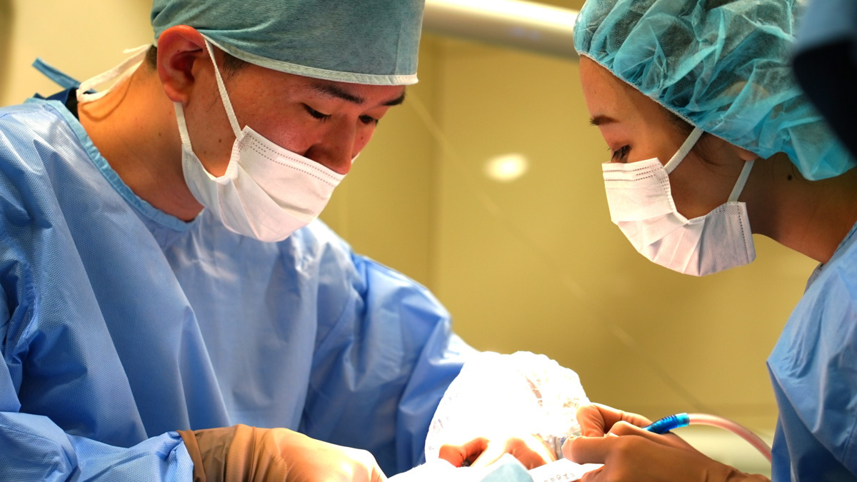 篠塚歯科医院の写真7枚目: