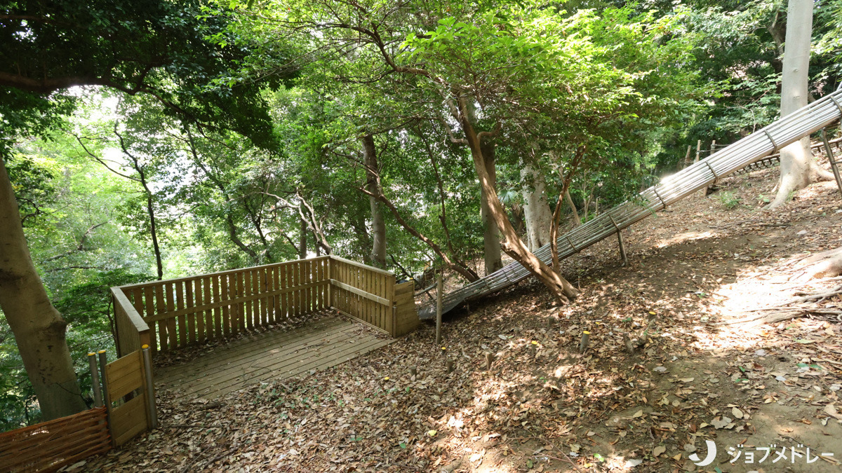 和田愛児園の写真9枚目：自然の中での遊びを通して行動力や生活力を育んでいます