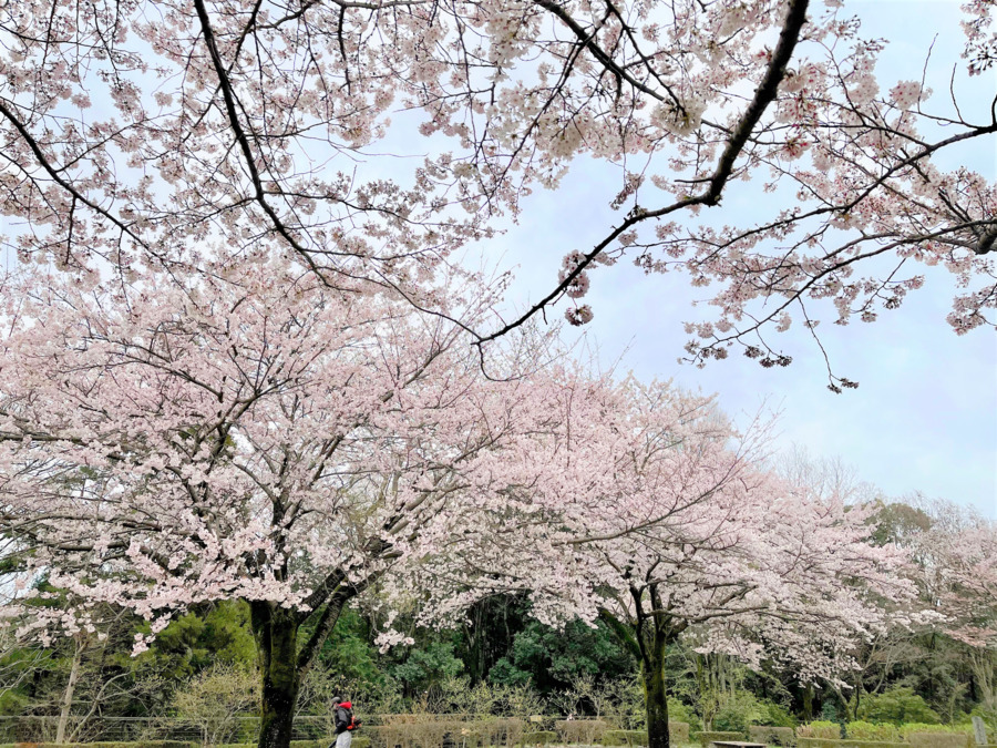 木曽東グループホーム圓の写真