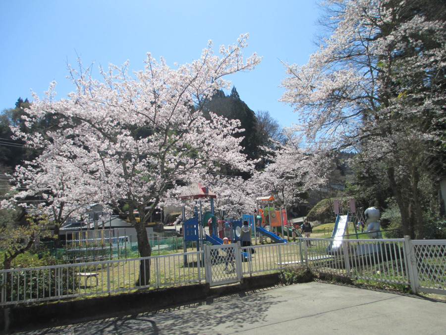 みずほ保育園の写真2枚目：