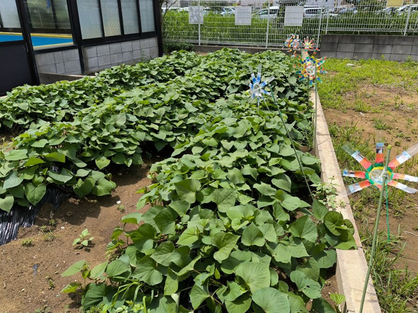 児童発達支援事業・佐原みどり学園（仮称）（児童発達支援管理責任者の求人）の写真6枚目：