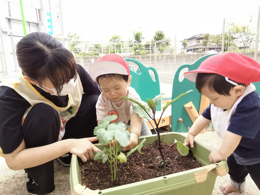 明日香西大宮保育園(保育士の求人)の写真5枚目: