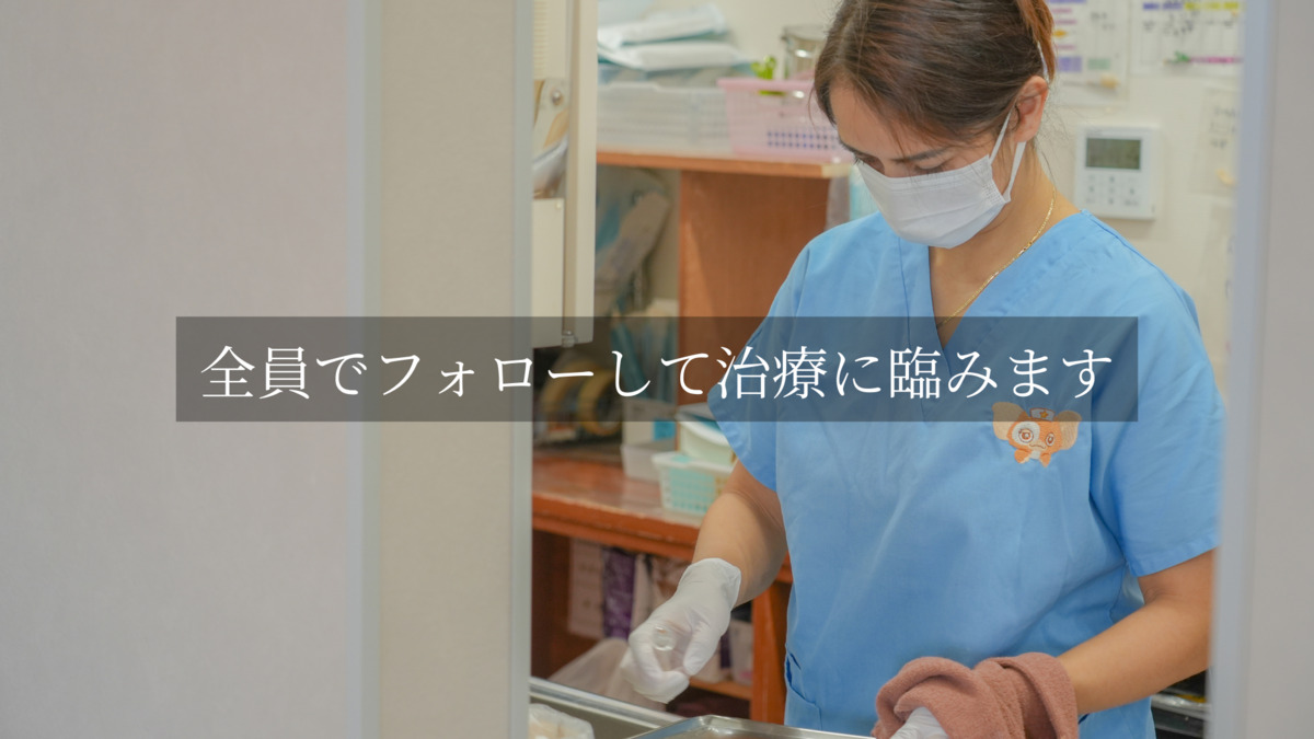 SAKO DENTAL CLINIC（歯科助手の求人）の写真11枚目：