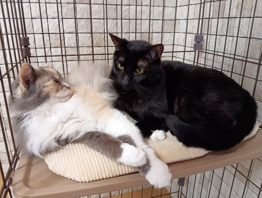 生活介護ムスビ（生活支援員の求人）の写真6枚目：