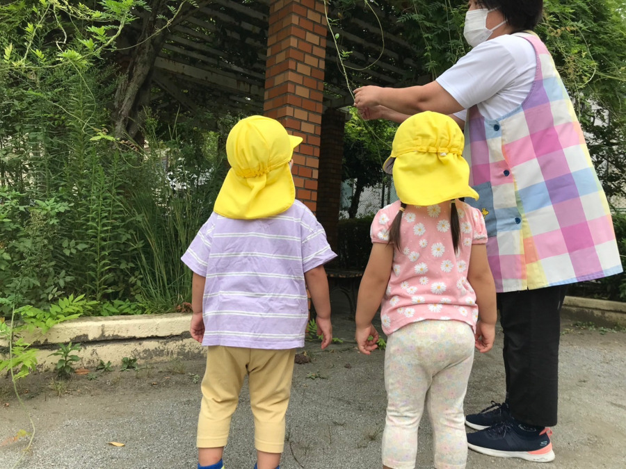 ひよこルーム江戸川保育園(保育士の求人)の写真6枚目:
