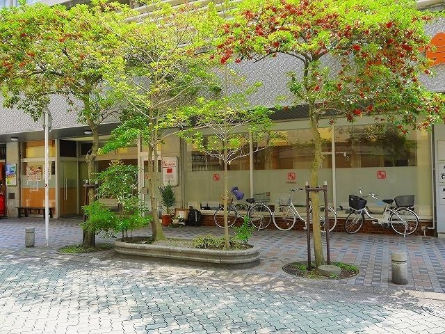 寿楽鍼灸整骨院の写真