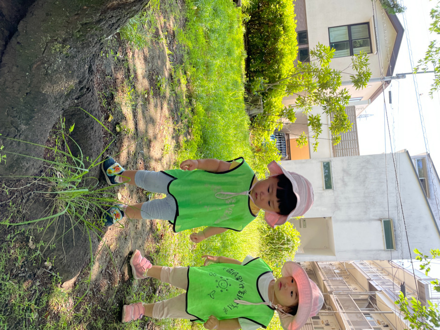 ぽかぽか保育園 多摩平（保育補助の求人）の写真5枚目：