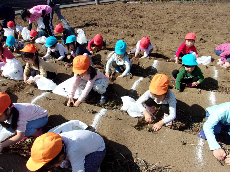 至誠会保育園の写真10枚目：