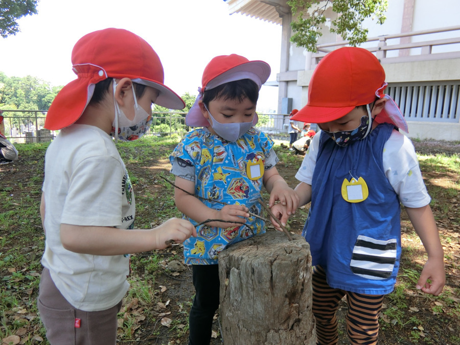 總持寺保育園の写真4枚目：