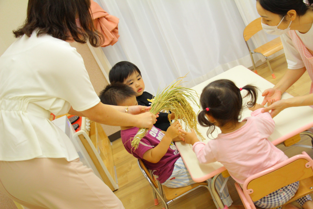 桃花小規模保育園 高島平一丁目（保育士の求人）の写真11枚目：