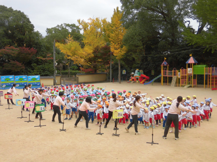 認定こども園　禅昌寺幼稚園の写真3枚目：