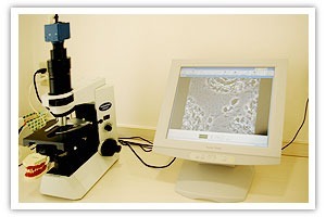 今井歯科の写真4枚目:
