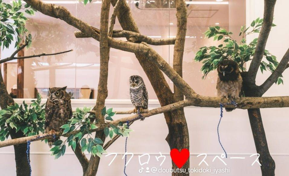 想いのまま（サービス管理責任者の求人）の写真6枚目：