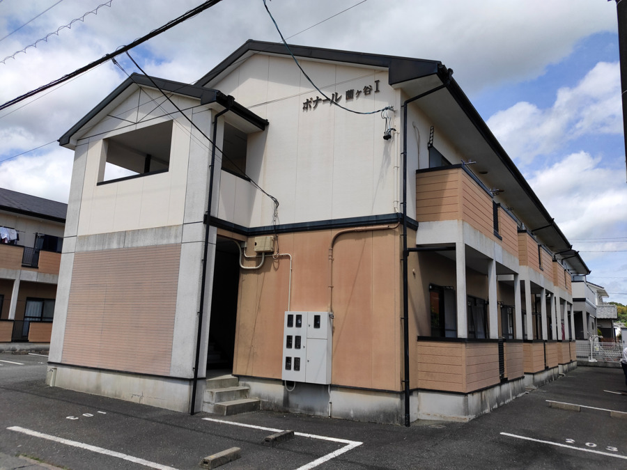 ガーベラの写真