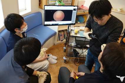 メリィハウス歯科クリニック（歯科医師の求人）の写真3枚目：