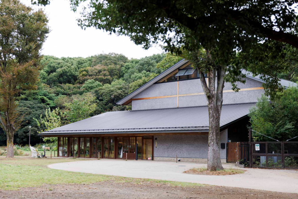 まちのこども園 代々木公園の写真