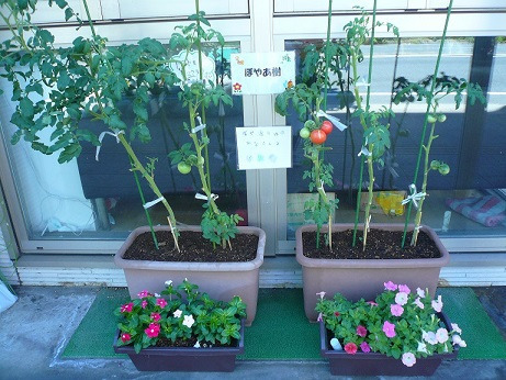 小規模多機能型居宅介護　ぼやあ樹　新子安（介護タクシー/ドライバーの求人）の写真2枚目：