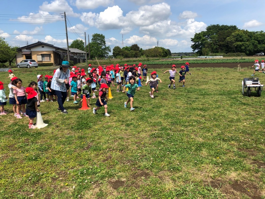 なかや保育園の写真6枚目：