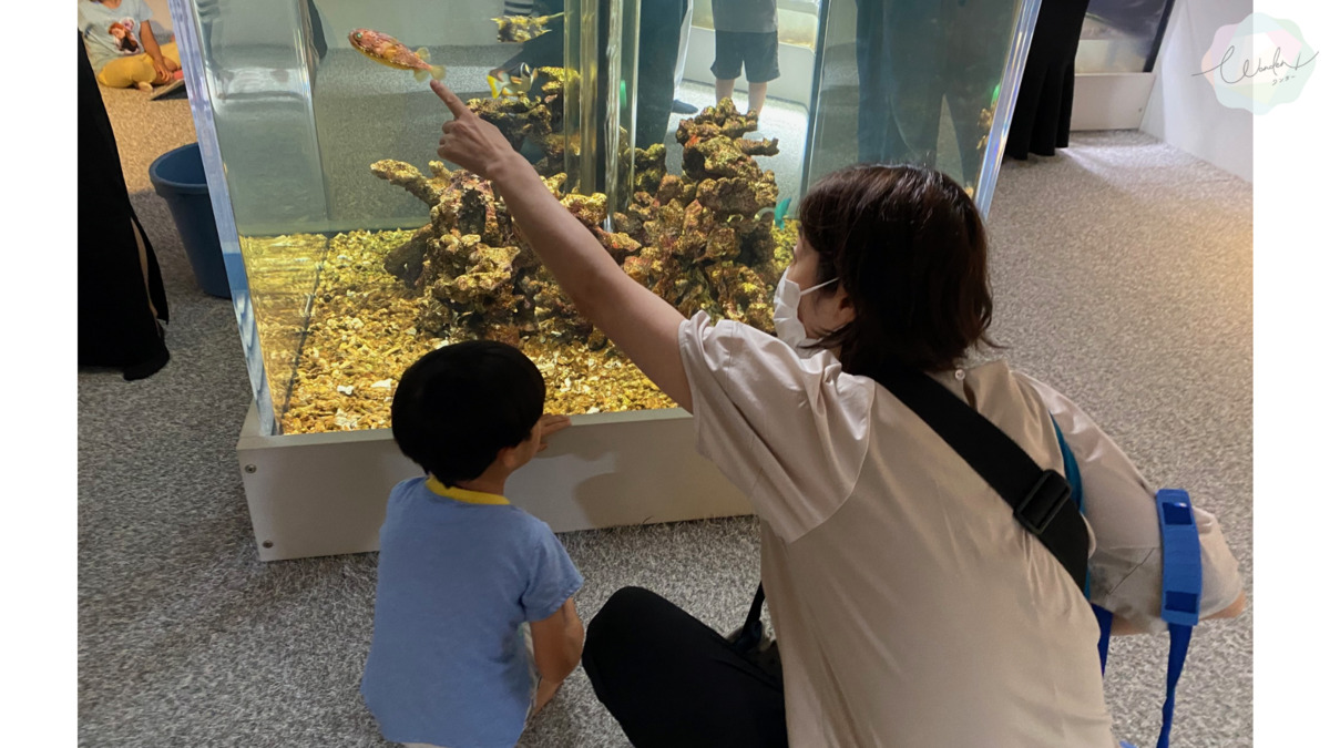 Wonder【2025年03月01日オープン】（保育士の求人）の写真4枚目：