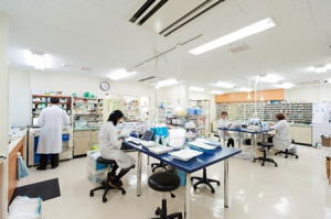 すずらん薬局五日市店【2025年08月01日オープン予定】（調剤事務の求人）の写真2枚目：