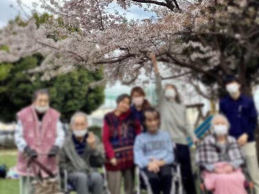 看護小規模多機能リベル　元橋本の写真16枚目：【系列店】公園にお花見にいきました♪これからも色々企画したいなと思っています！