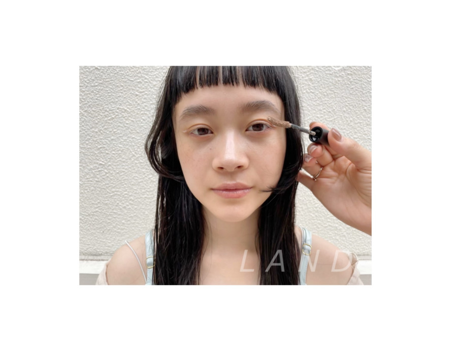 LANDの写真