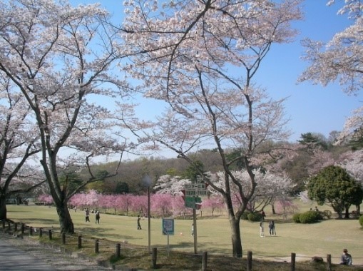 デイサービス森林公園（介護タクシー/ドライバーの求人）の写真2枚目：