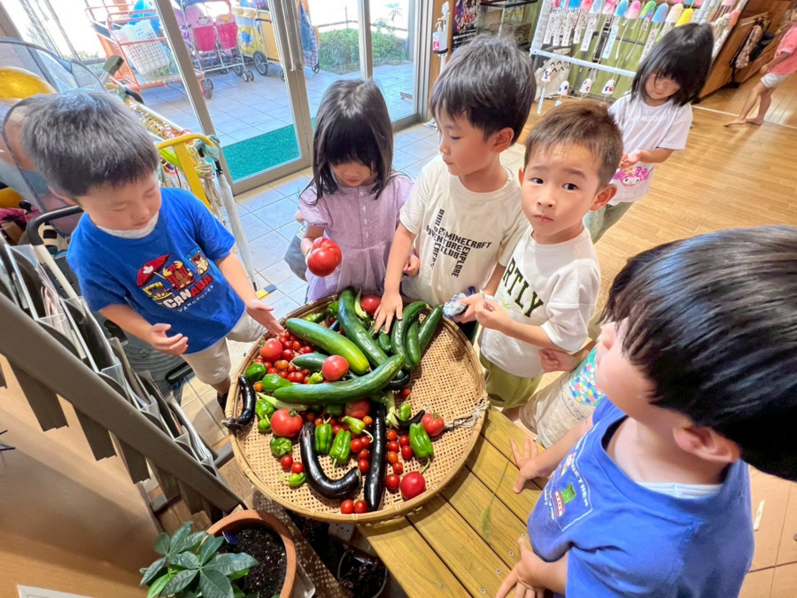 小倉台いろは保育園（看護師/准看護師の求人）の写真5枚目：