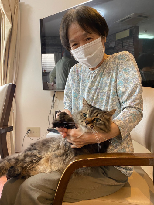 やすらぎの森にゃおんの写真3枚目：