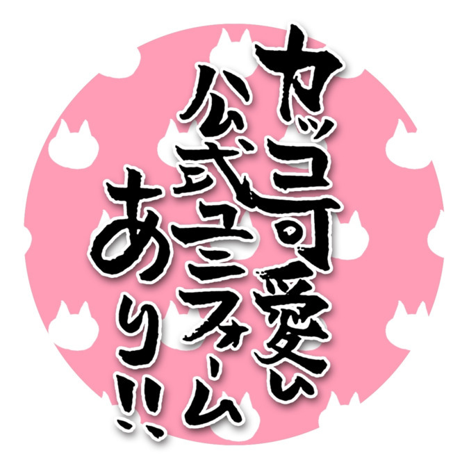 ネコロボマン訪問介護立川高松店【2025年冬オープン予定】（介護職/ヘルパーの求人）の写真4枚目：