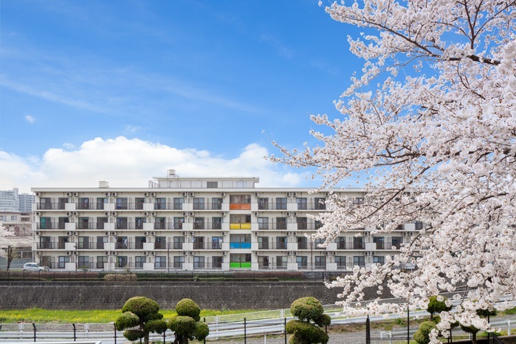 ブロッサムビレッジ立川(管理職(介護)の求人)の写真: