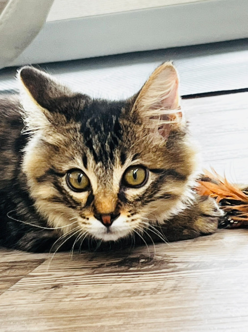 でいじーホームの写真