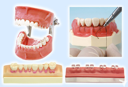医療法人堺美歯科　ナカノ初芝歯科クリニック（歯科医師の求人）の写真5枚目：