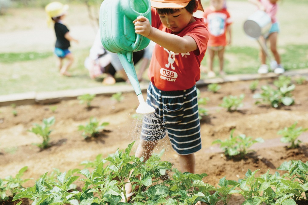 まつやま大宮保育園(管理栄養士/栄養士の求人)の写真3枚目:
