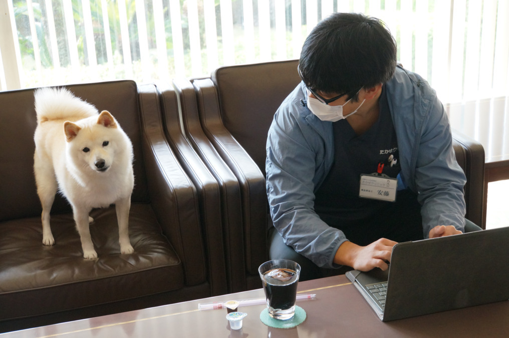 たかせクリニック(看護助手の求人)の写真5枚目:患者さんのご家族と仲良くなることもあります。