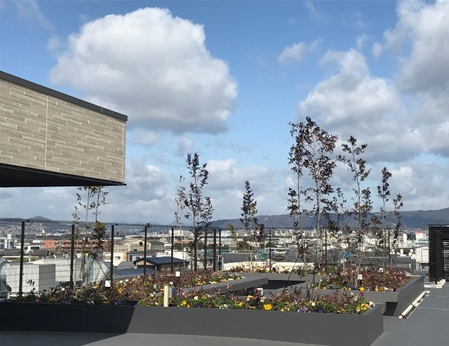 デイサービス利倉清豊苑の写真8枚目：高い建物がないので景色がいいです。