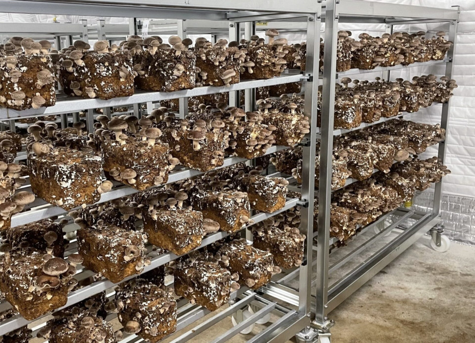 就労継続支援B型事業所グリーンツリー(サービス管理責任者の求人)の写真5枚目: